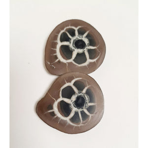 SEPTARIAN NODULE PAIR