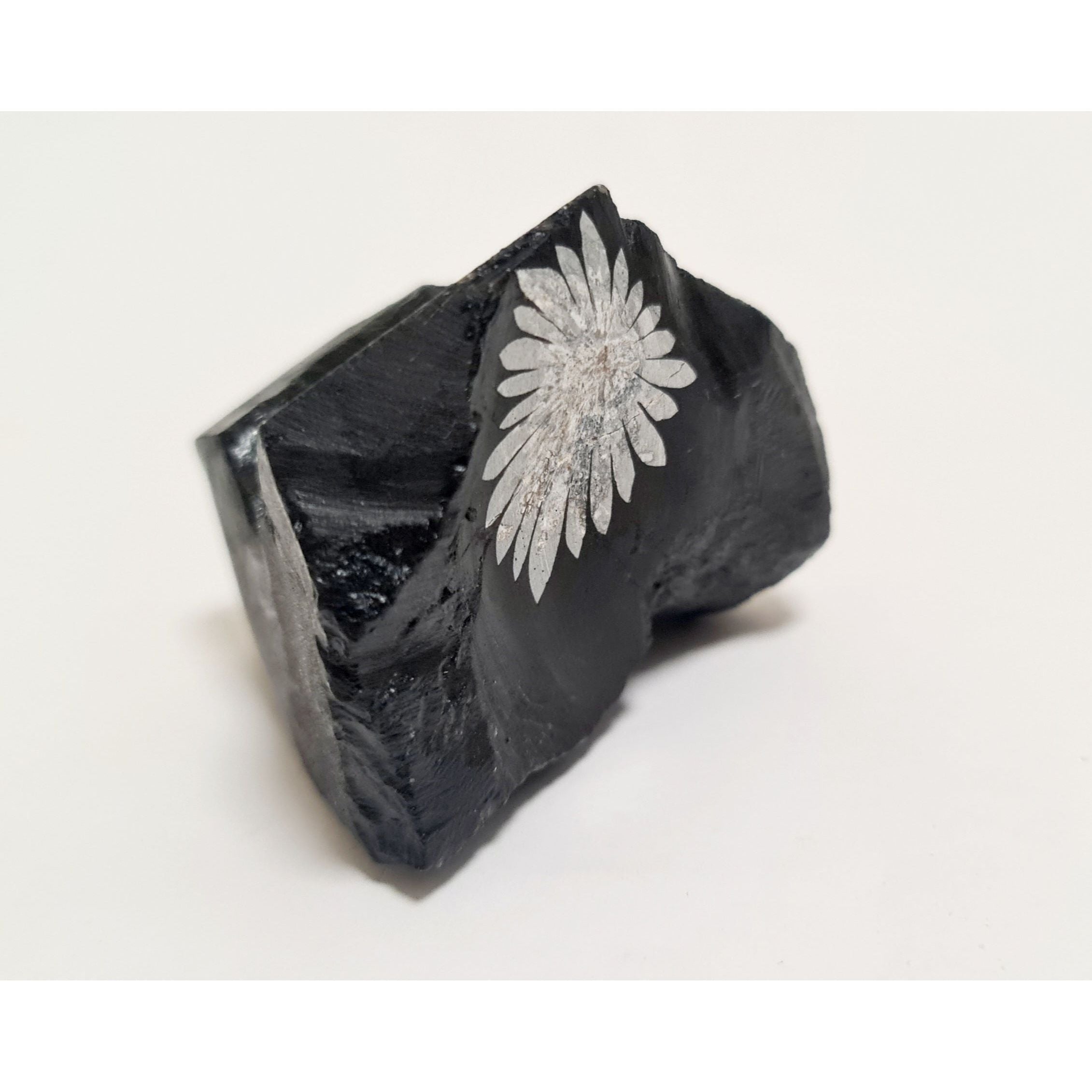 CHRYSANTHEMUM STONE FREE FORM