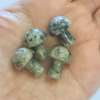 Mini Crystal Mushrooms