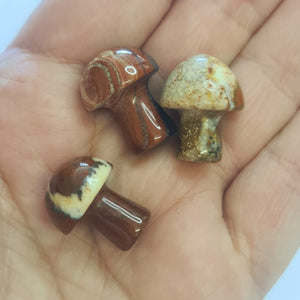MINI MUSHROOMS
