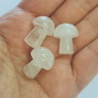 Mini Crystal Mushrooms