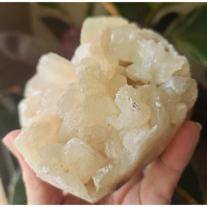 Zeolite Cluster