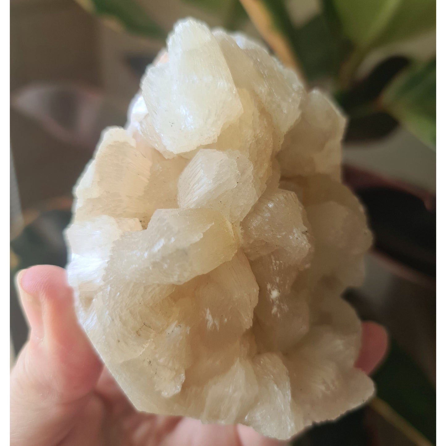 Zeolite Cluster