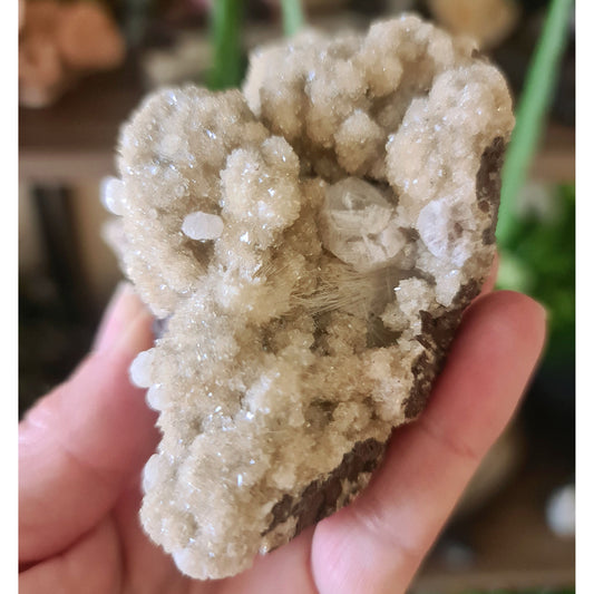 Zeolite Cluster