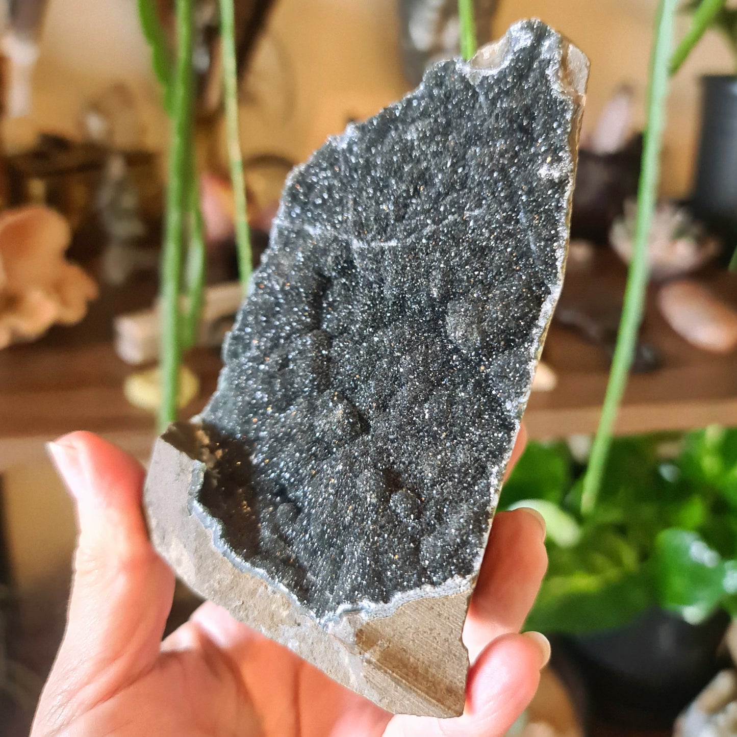 Black Amethyst Cluster #1