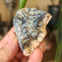 Dendritic Opal Freeform