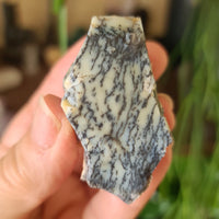 Dendritic Opal Freeform