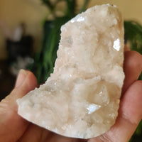 Apophyllite Cluster