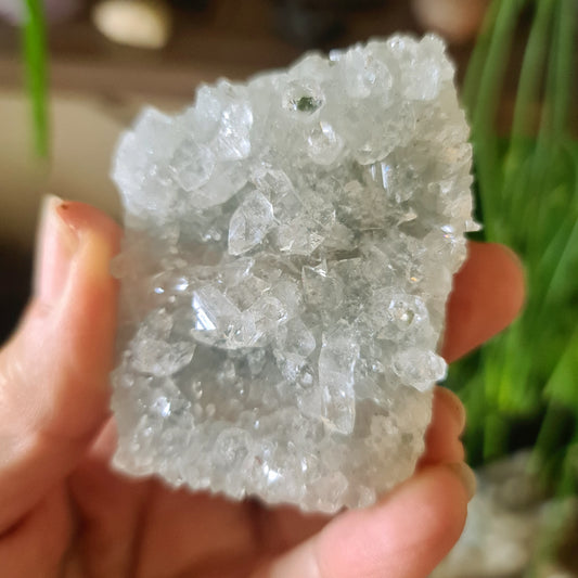 Apophyllite Cluster