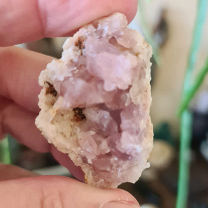 Pink Amethyst Geodes