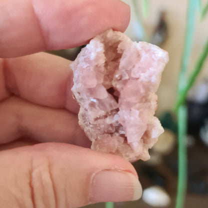 Pink Amethyst Geodes