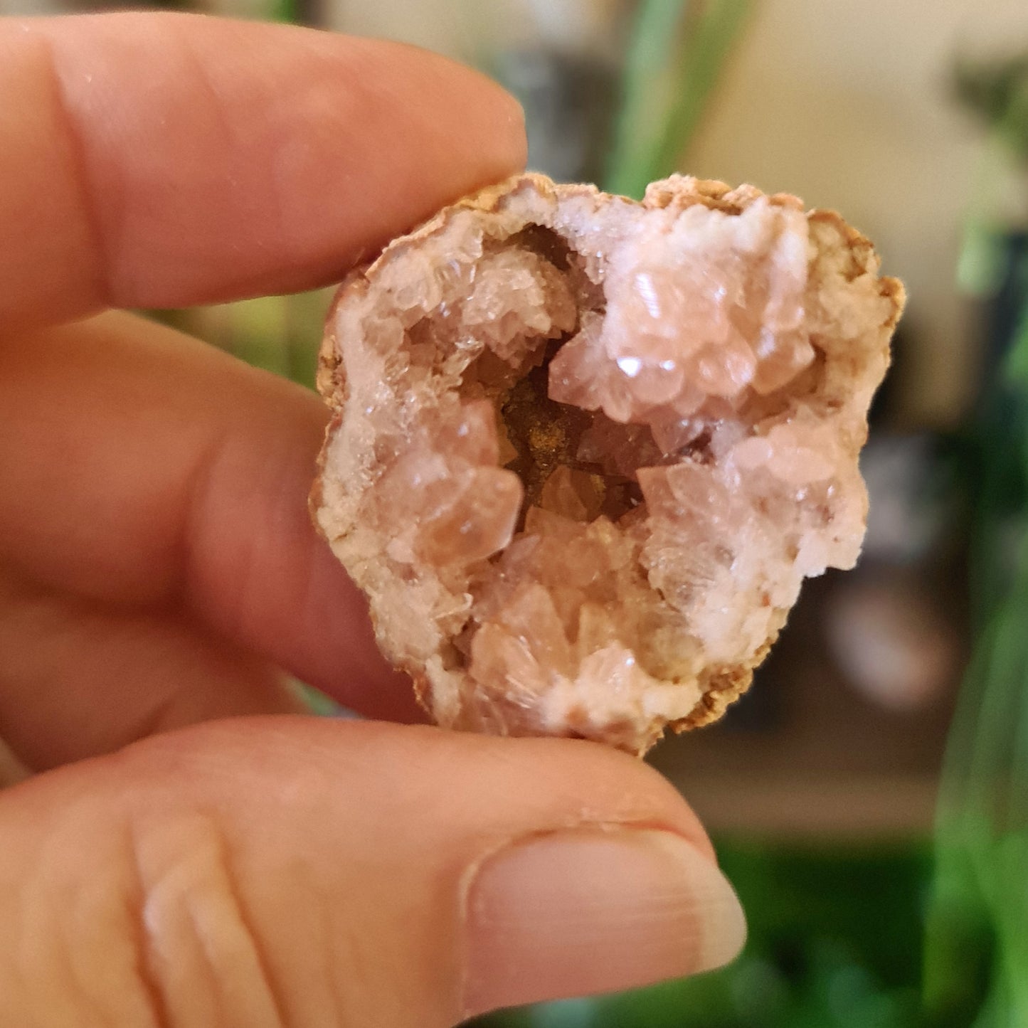 Pink Amethyst Geodes