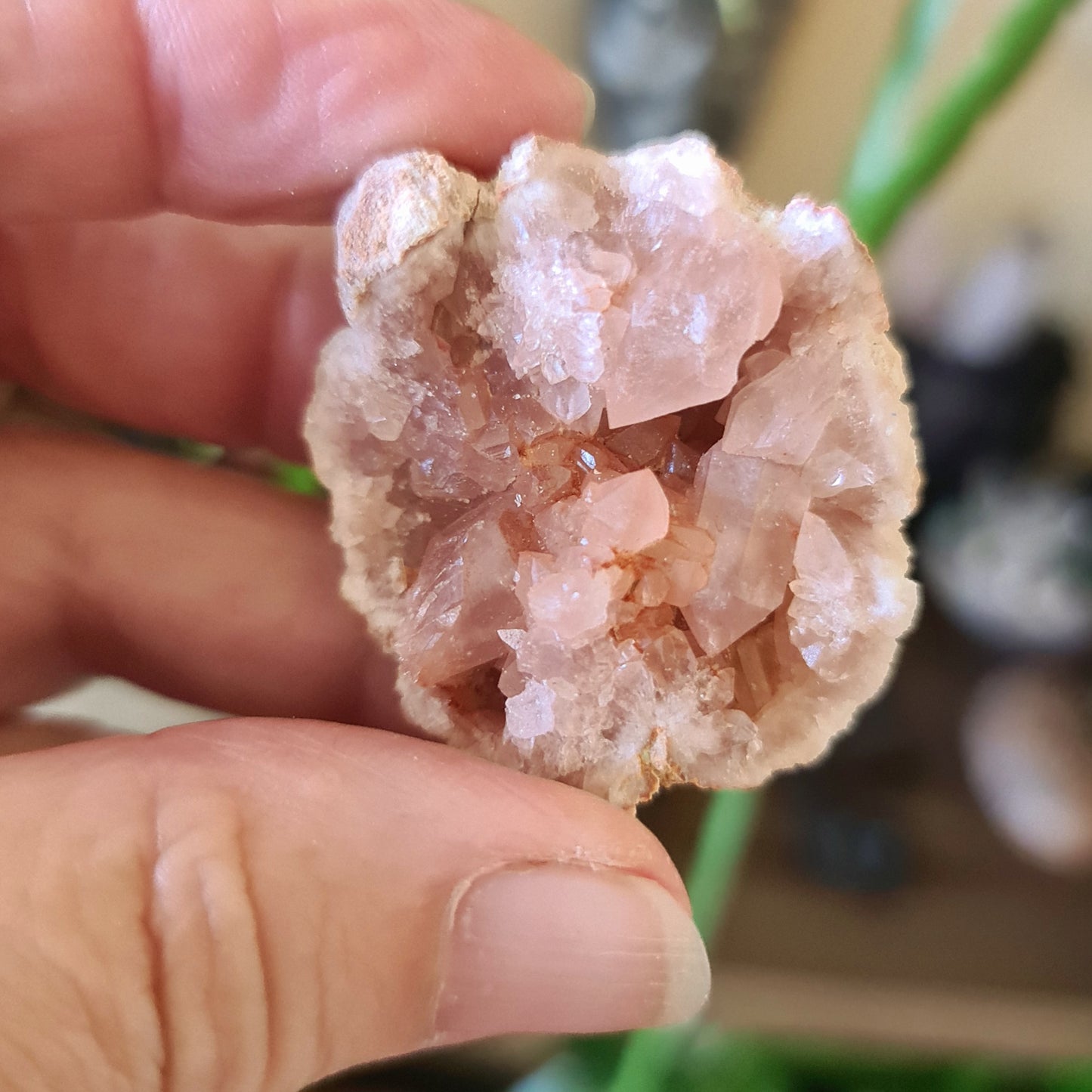 Pink Amethyst Geodes