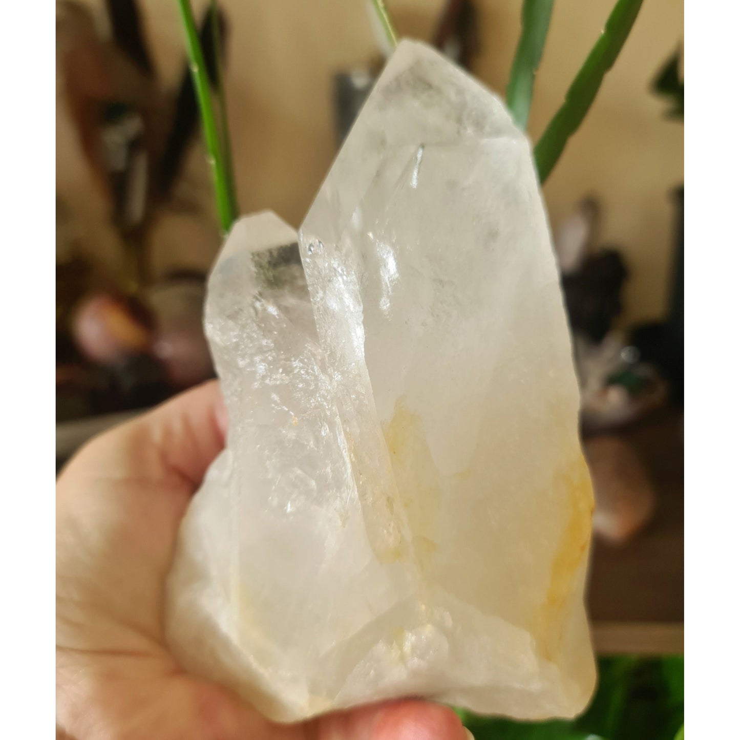 Clear Quartz Cluster
