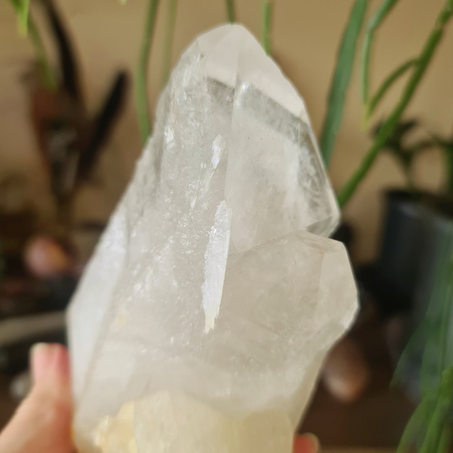 Clear Quartz Cluster