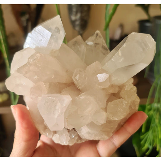 Clear Quartz Cluster