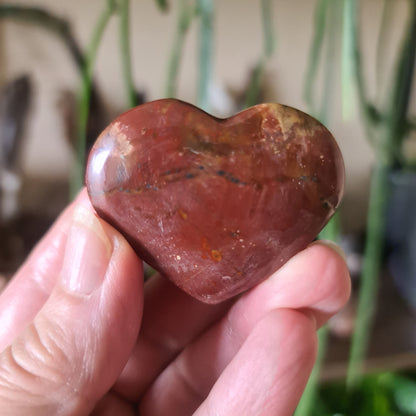 Petrified Wood Hearts