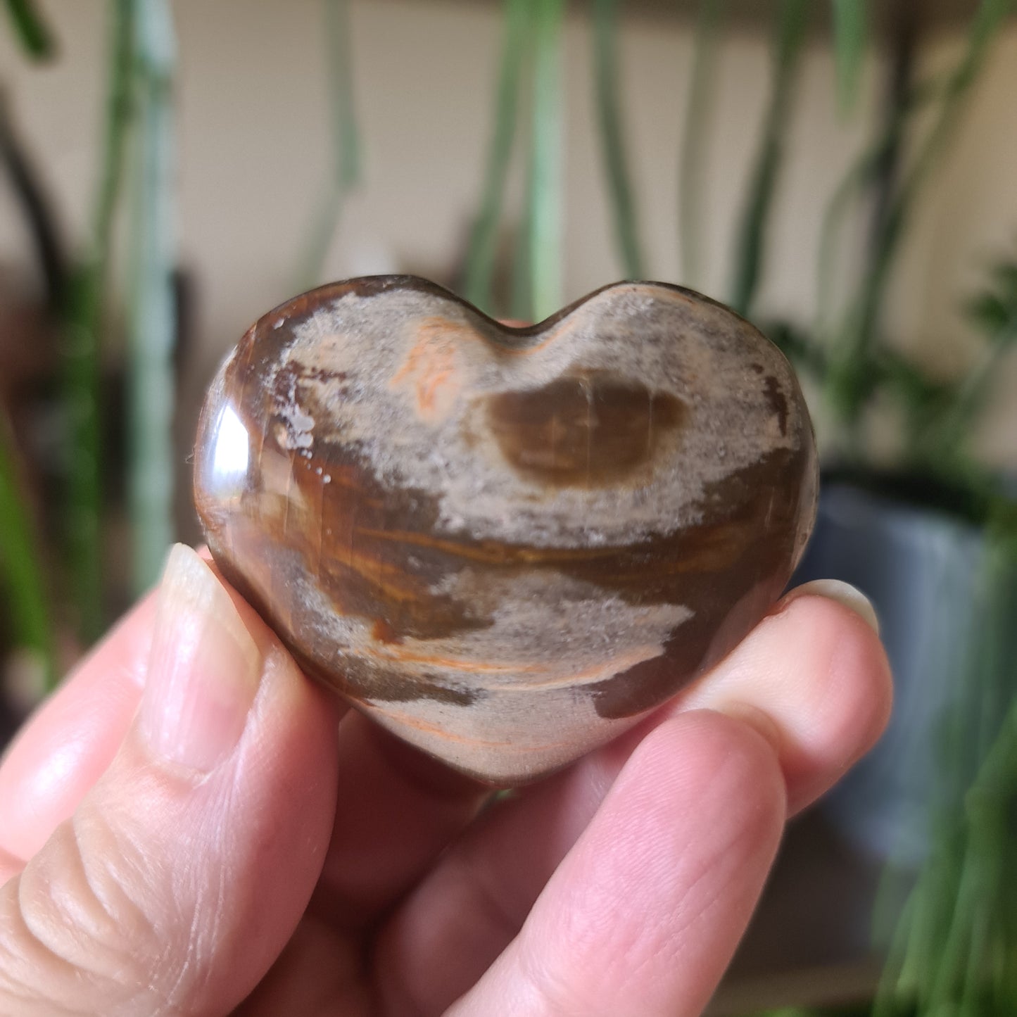 Petrified Wood Hearts