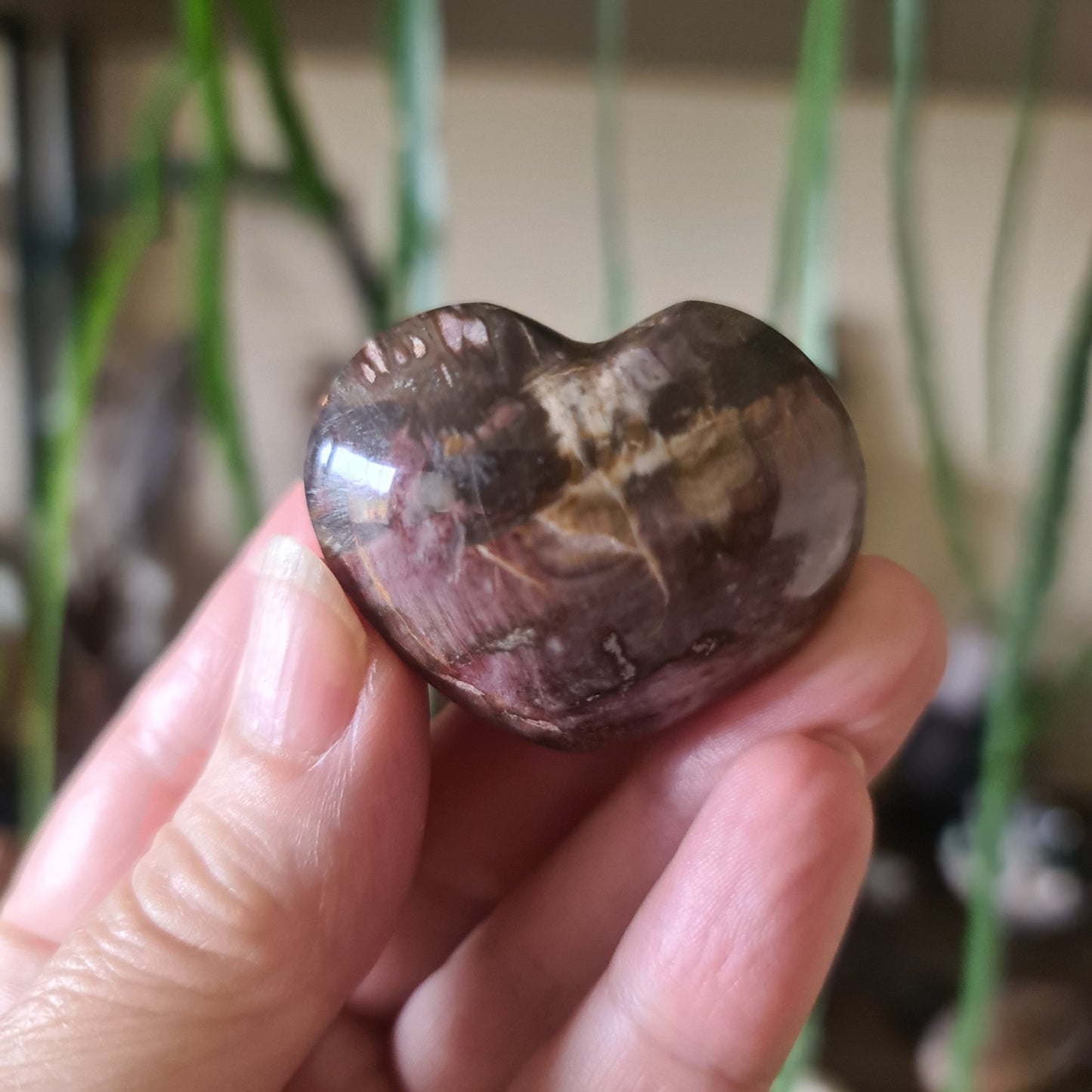 Petrified Wood Hearts