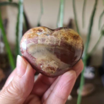 Petrified Wood Hearts