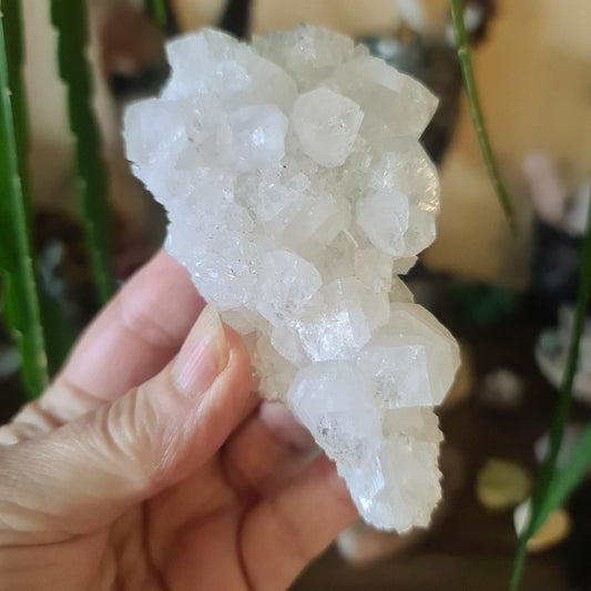 Zeolite Cluster