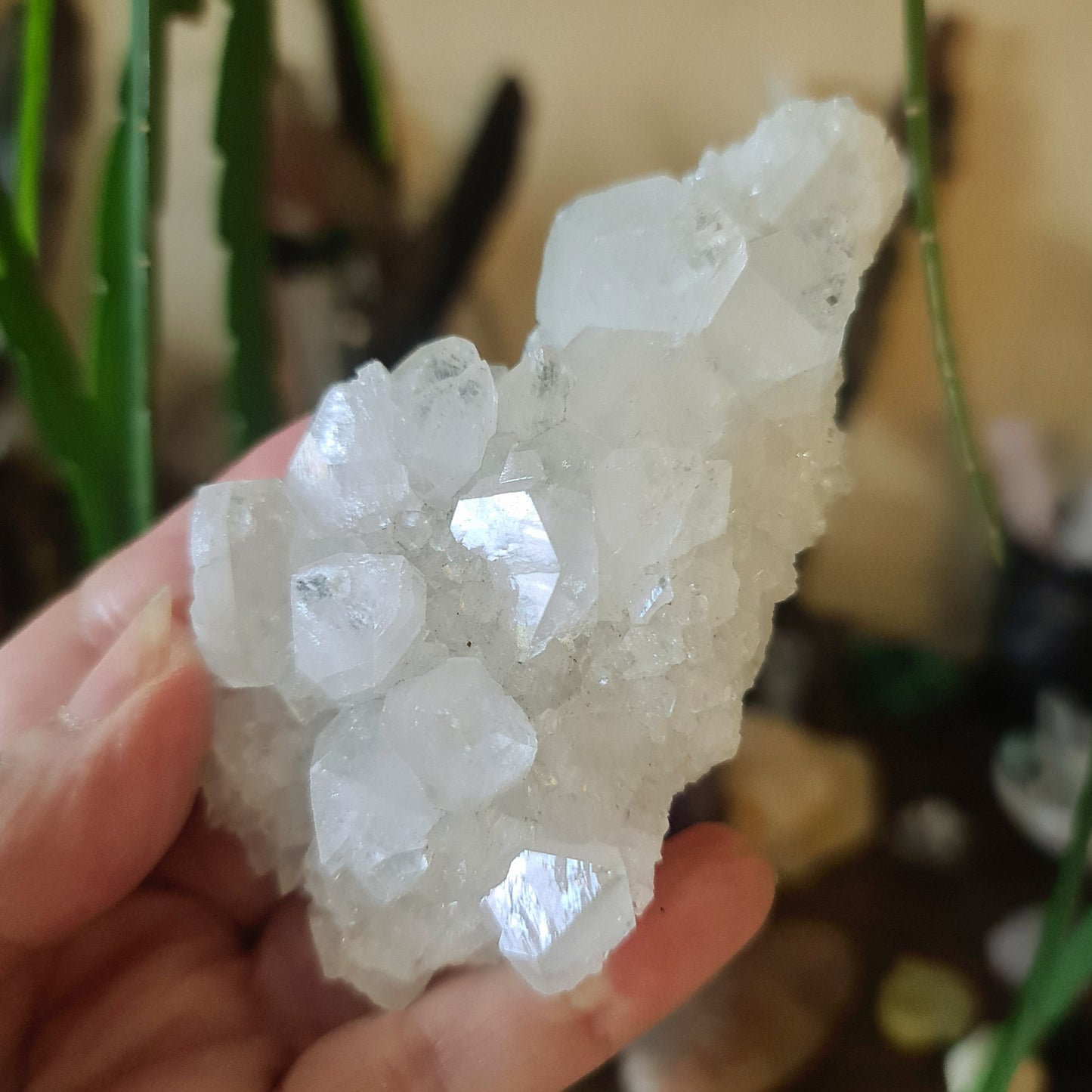 Zeolite Cluster