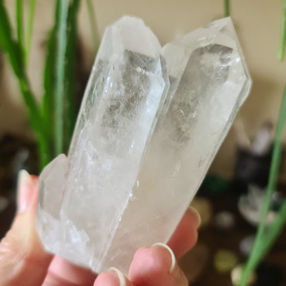 Lemurian Triple Point