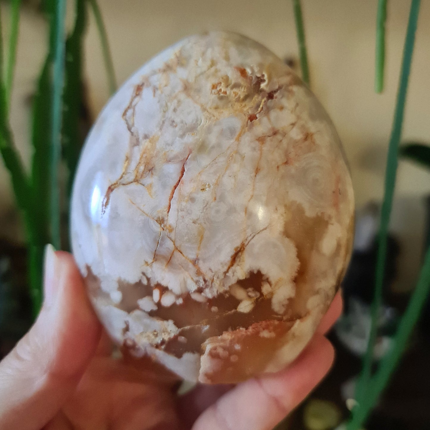 Flower Agate Free Form