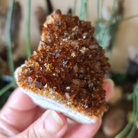 Citrine Cluster - Large