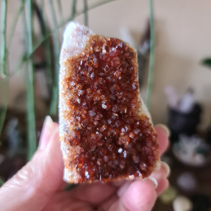 Citrine Cluster - Medium