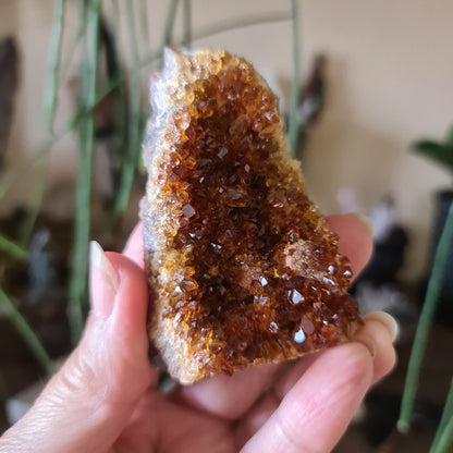 Citrine Cluster - Medium