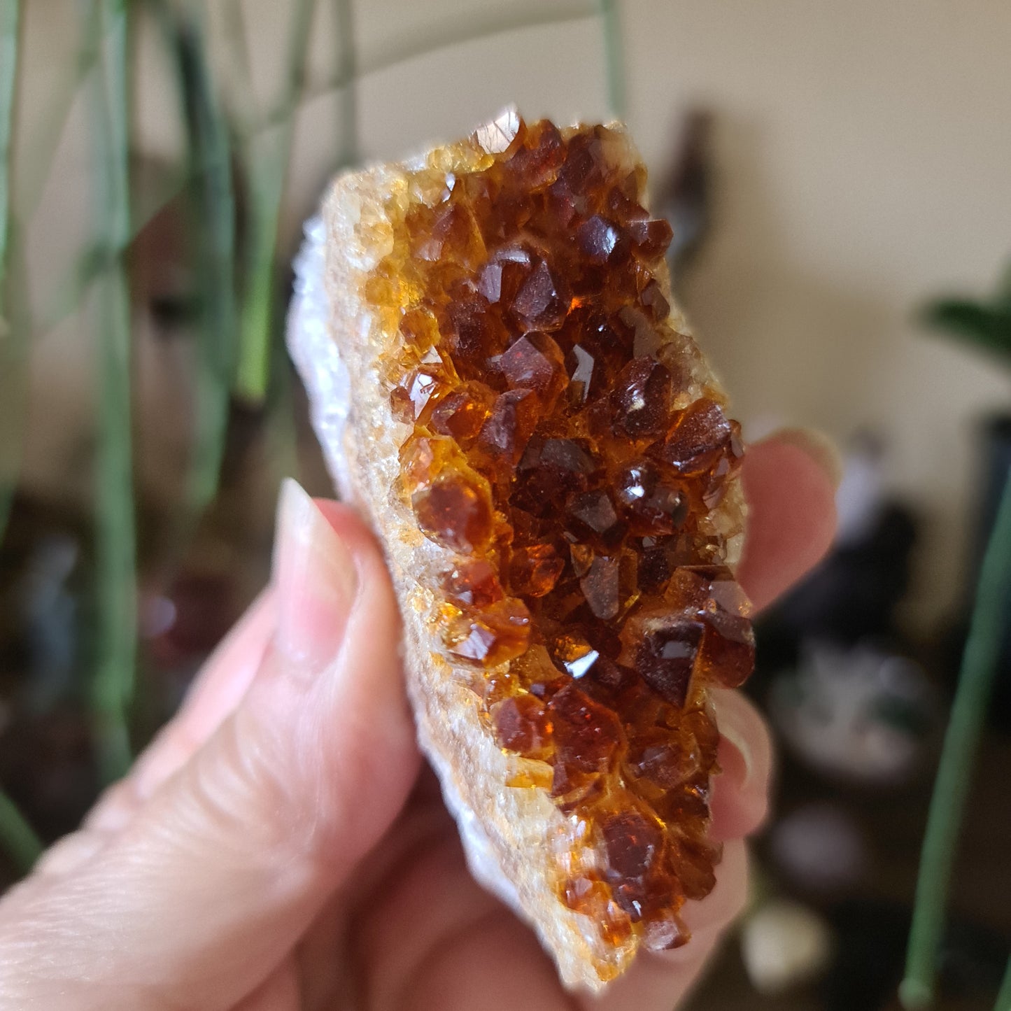 Citrine Cluster - Medium