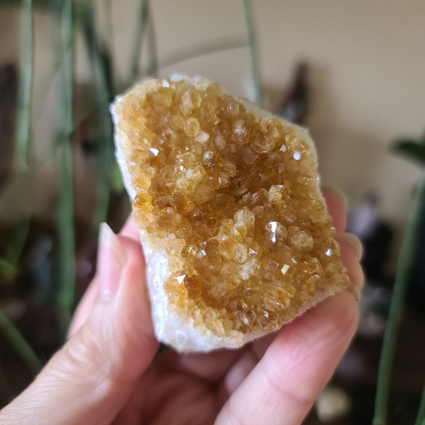 Citrine Cluster - Medium