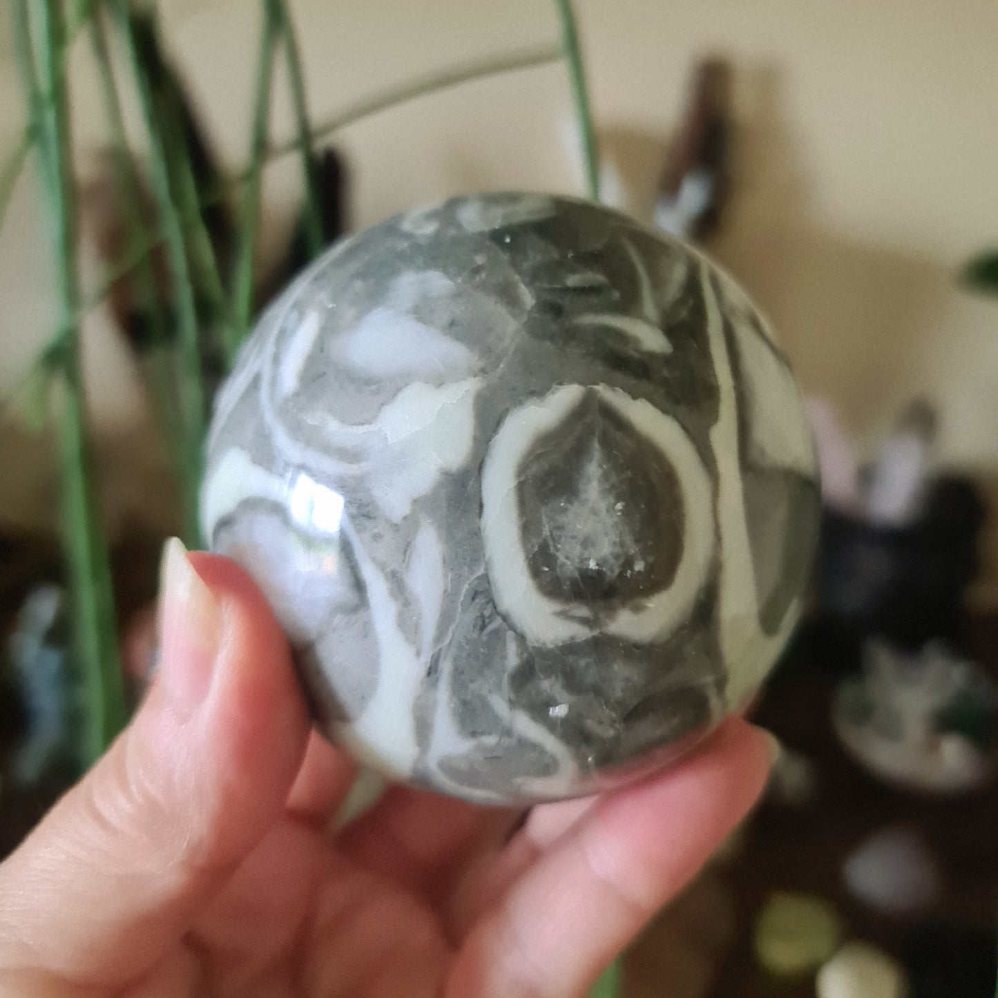 Shell Jasper Sphere