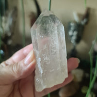 Lemurian Seed Crystal Point