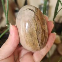 Ocean Jasper Palm Stone