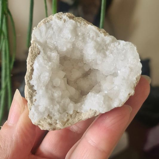 Crystal Geodes