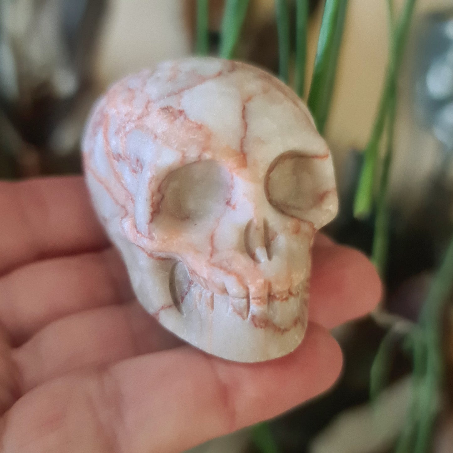 Red Vein Jasper Skull