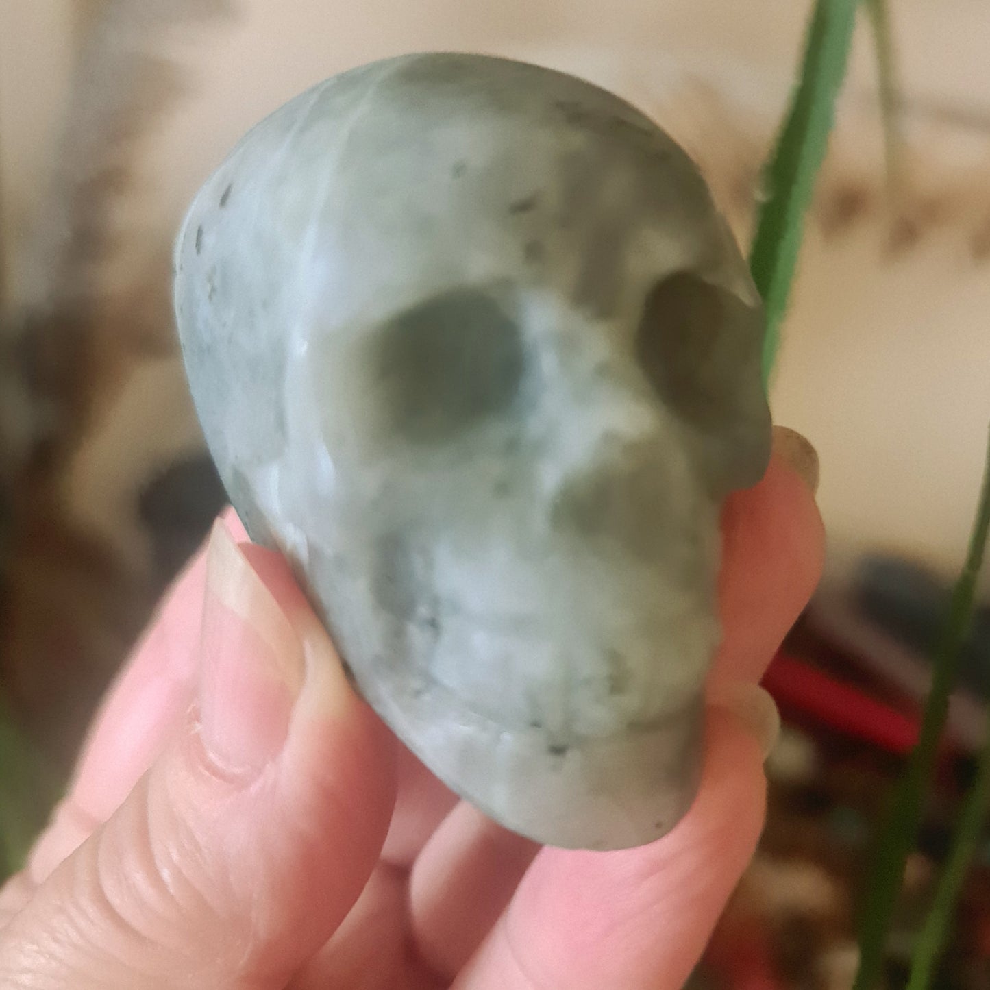 Crystal Skulls - Medium