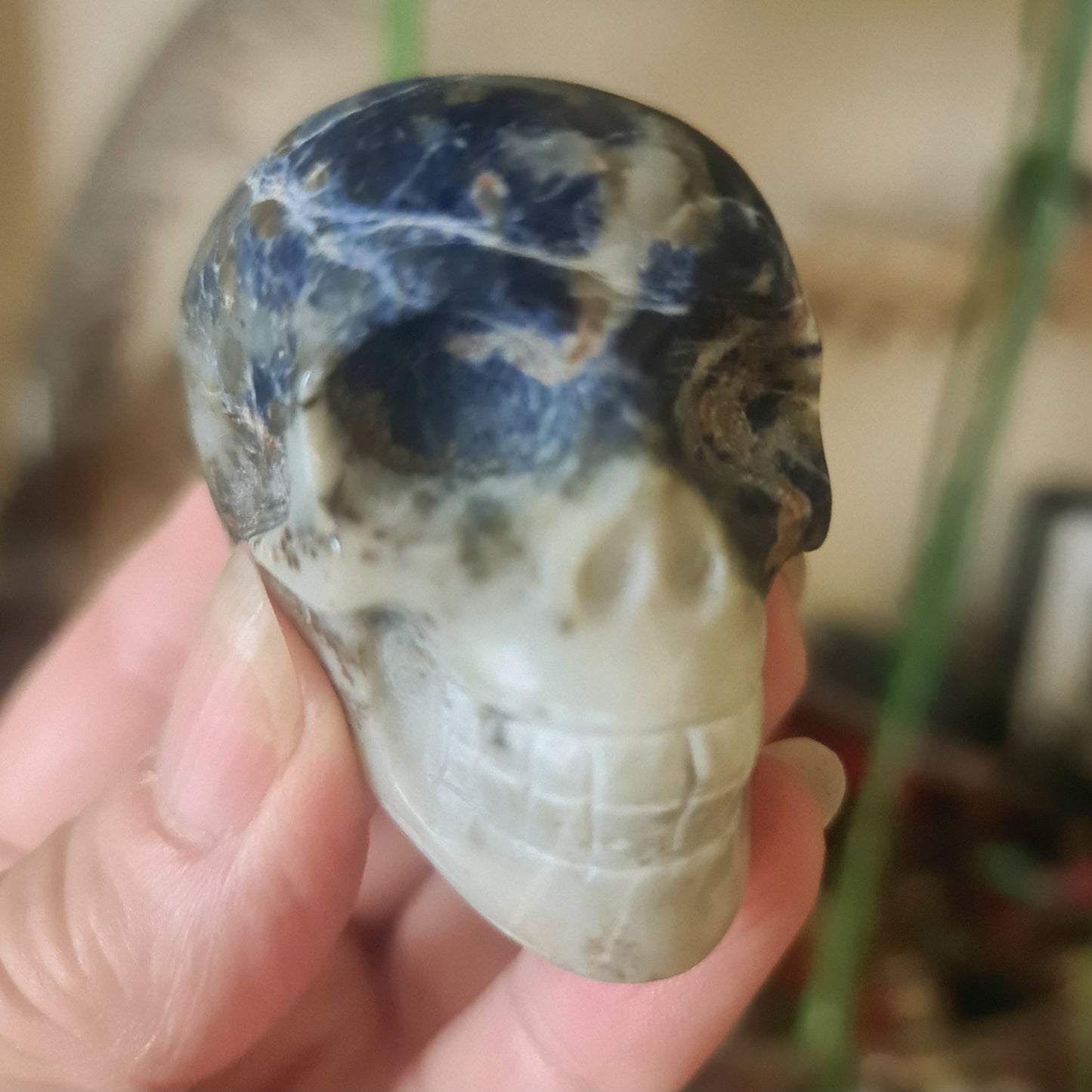 Crystal Skulls - Medium