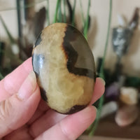 Septarian Palm Stone