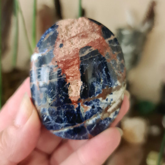 Sodalite Palm