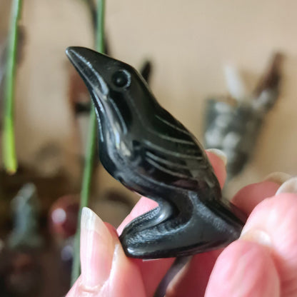 Black Obsidian Raven