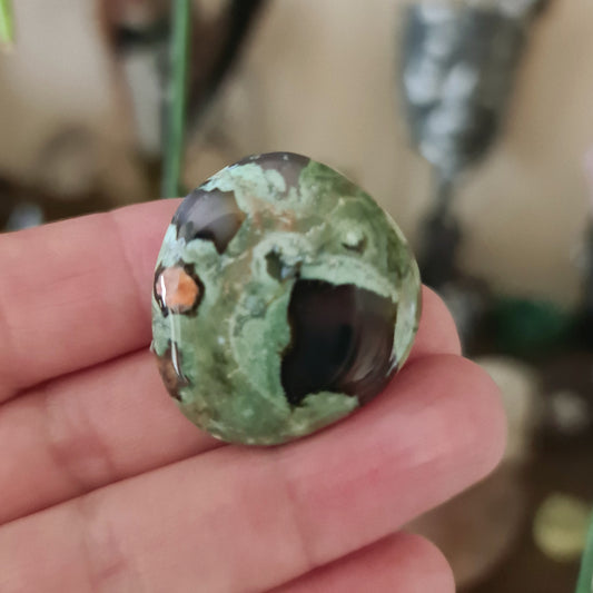 Rhyolite Mini Palm