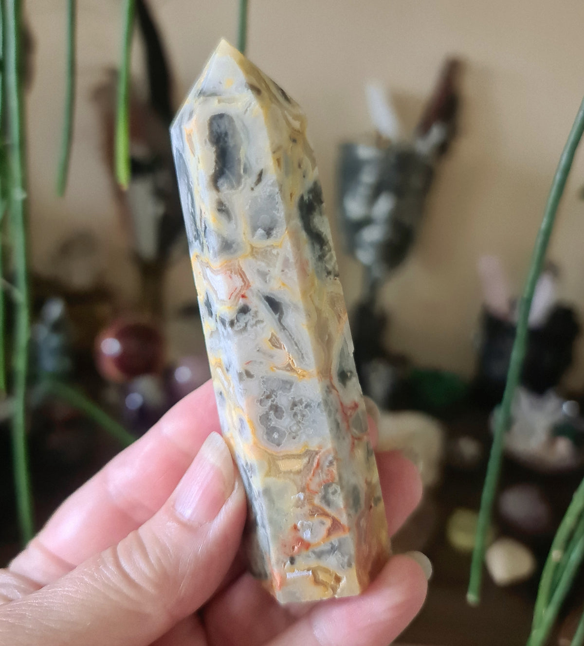 Crazy Lace Agate Points