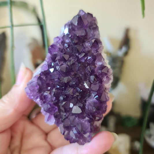 Amethyst Clusters High Grade