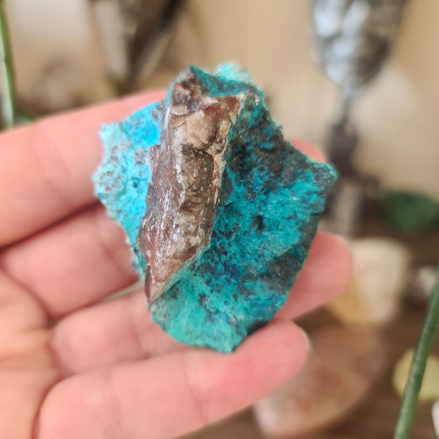 Shattuckite Specimen