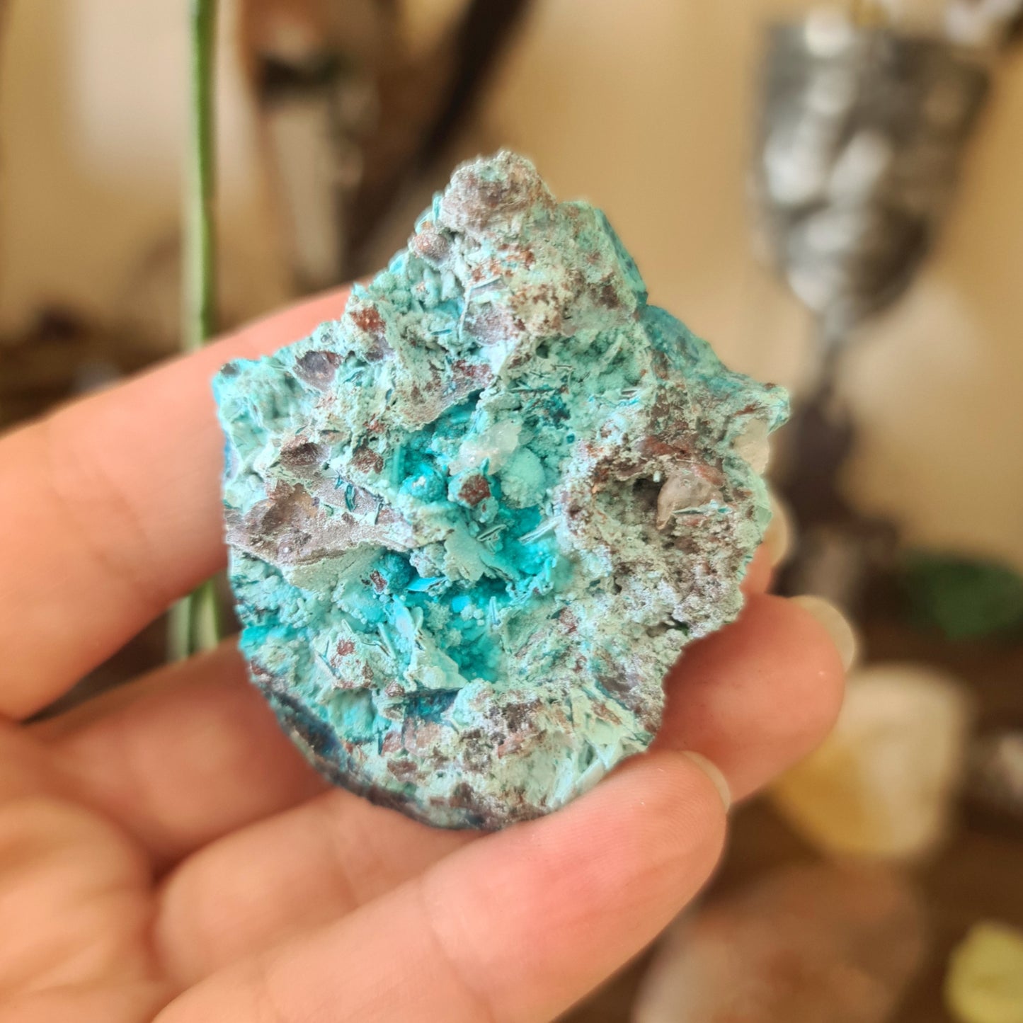 Shattuckite Specimen