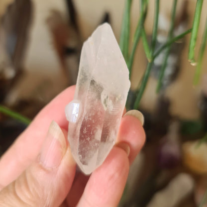 Lemurian Seed Crystal Point