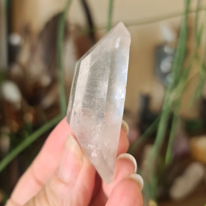 Lemurian Seed Crystal Point